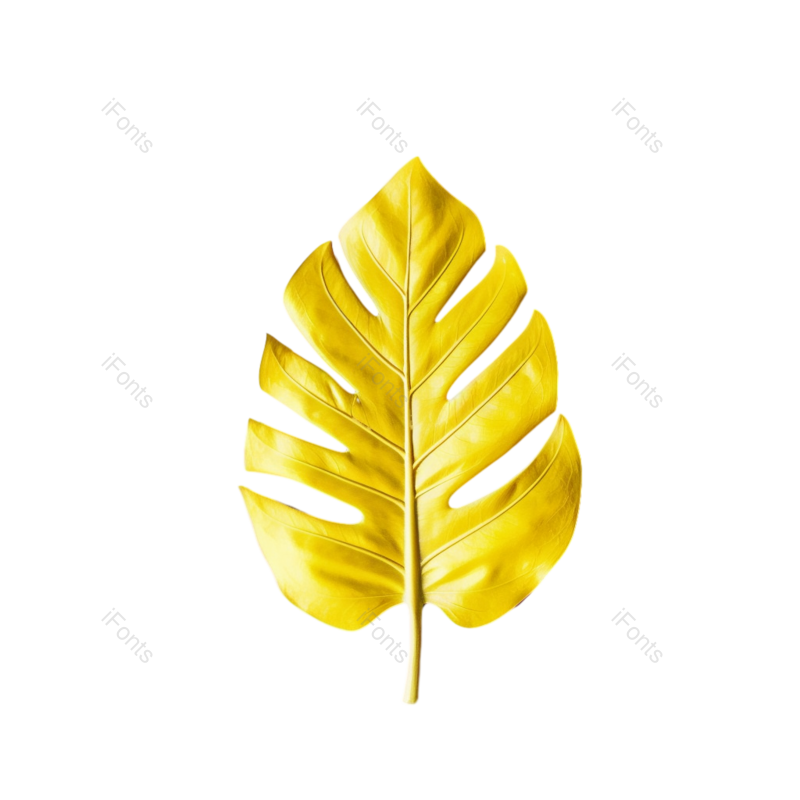 叶子图片,边框元素,摄影PNG,夏天免抠素材